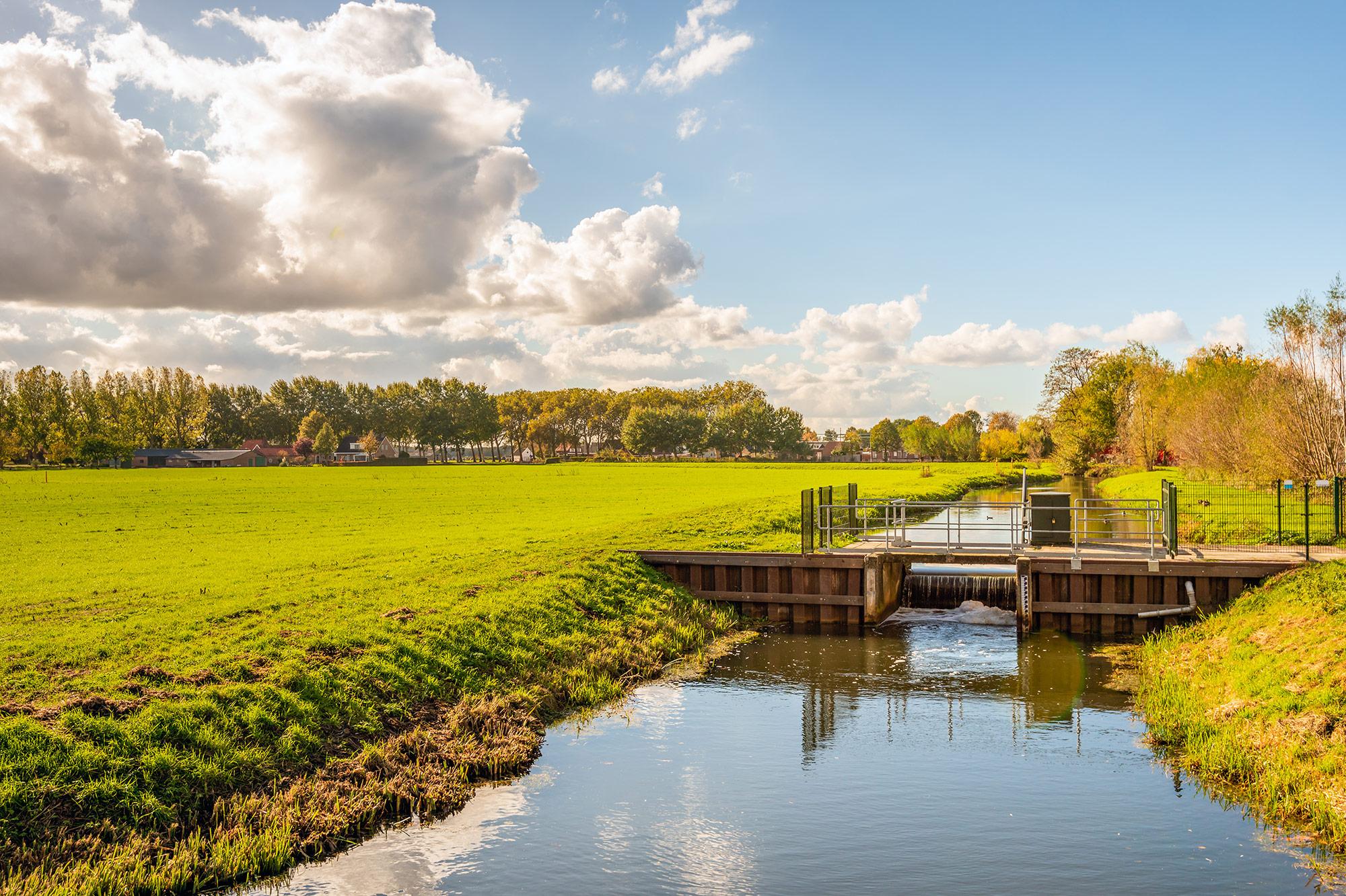 BRIDGE Discovery unterstützt innovative und nachhaltige Projekte
